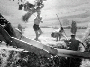 Moissons en Drome provençale, années 30, image cinememoire
