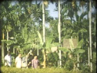 Hanoï - Quang-Yen - Do Son, 1953