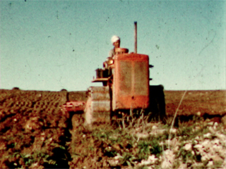 Travaux agricoles en Oranie, 1956