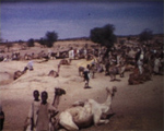 Le Tchad en 1960