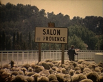 Transhumance à Salon-de-Provence en 1967